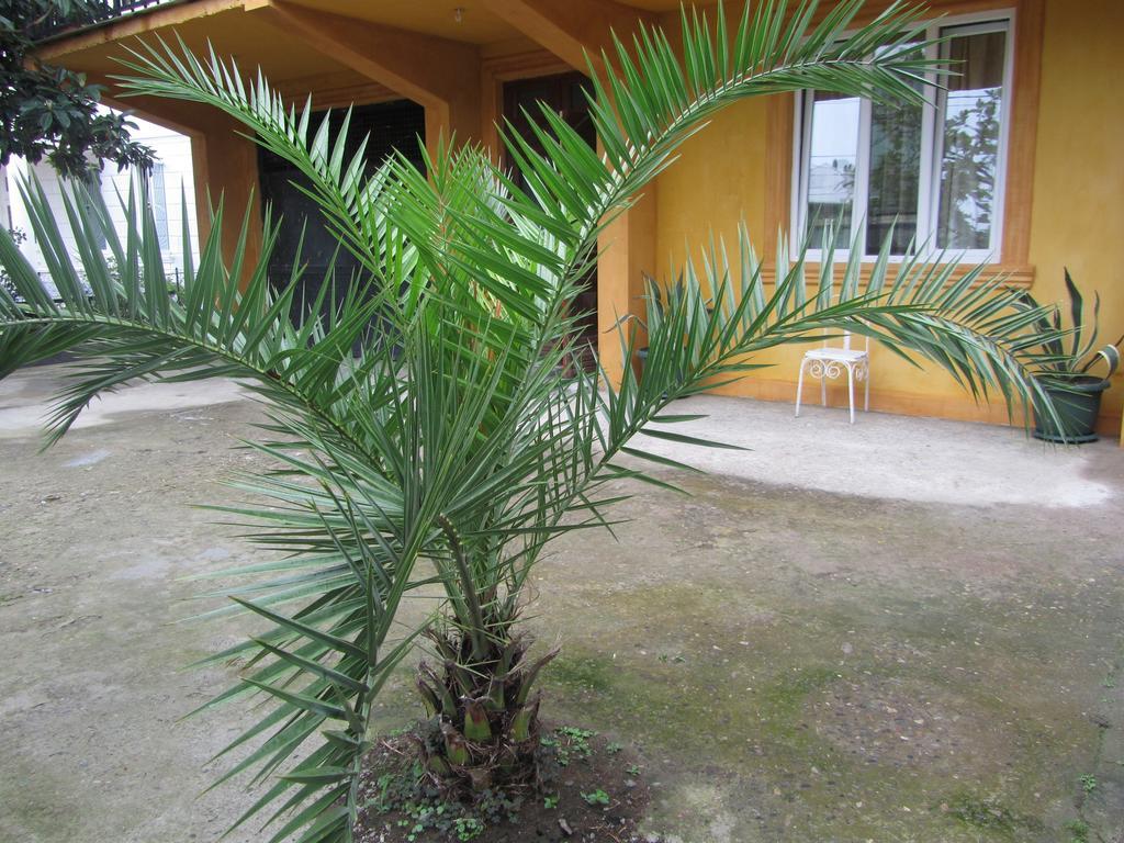 Suliko Guest House Batumi Exterior foto